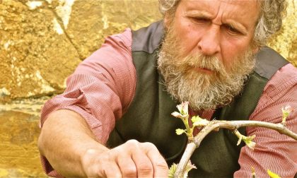 Due spettacoli nel fine settimana al Premio Vermentino