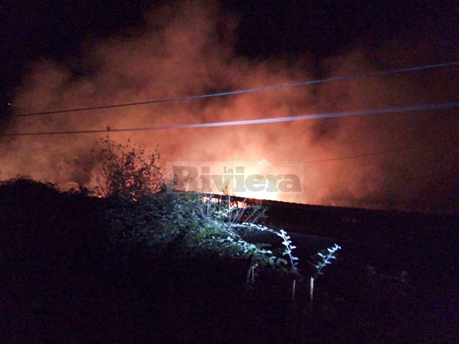 Incendio Camporosso sterpaglie_03