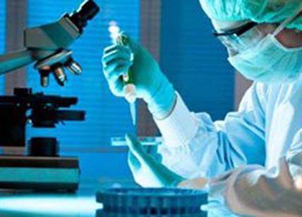 Una molecola naturale la nuova arma contro il Coronavirus