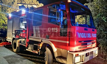Albero crolla sulla strada nella notte a Villa Faraldi
