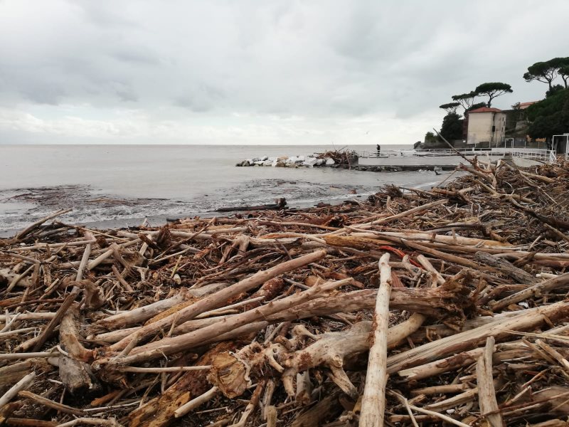 Raccolta della legna sulla spiaggia a Camporosso: ora si può, ma leggete l’ordinanza