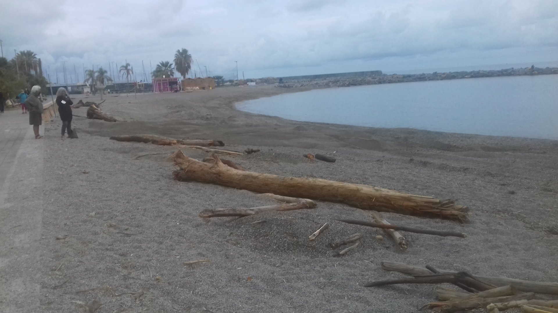 rimozione legna spiaggia3