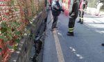 Crolla il bordo strada in corso Inglesi a Sanremo: vigili del fuoco e polizia locale sul posto