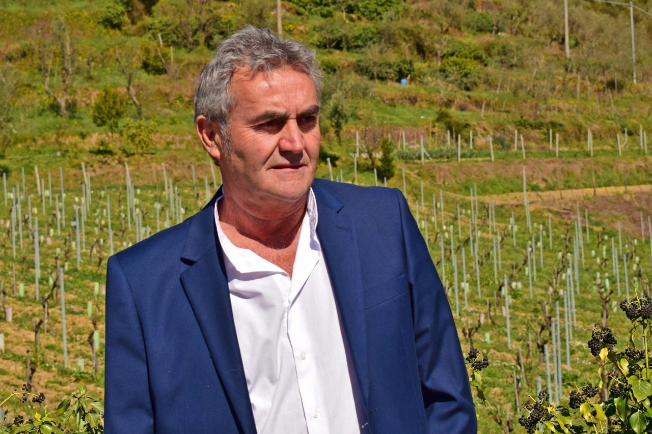 Regione pubblica bando a sostegno degli investimenti per aziende agricole