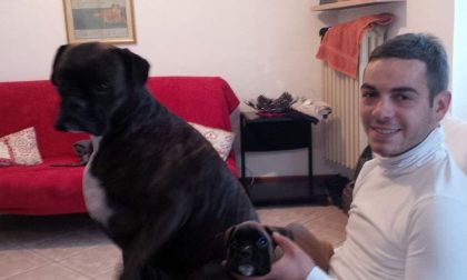 Si terranno domani i funerali di Nicolò Namavar