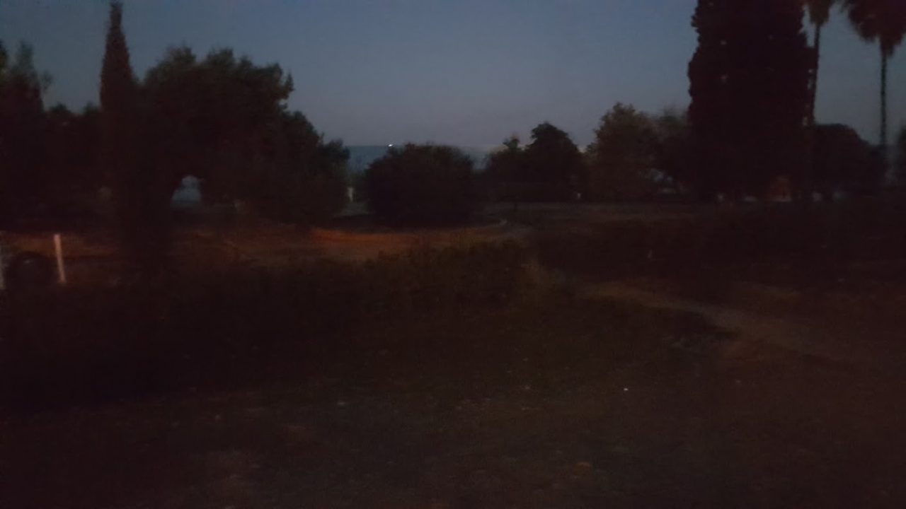 “Area cani di San Martino non sicura” la segnalazione di un lettore