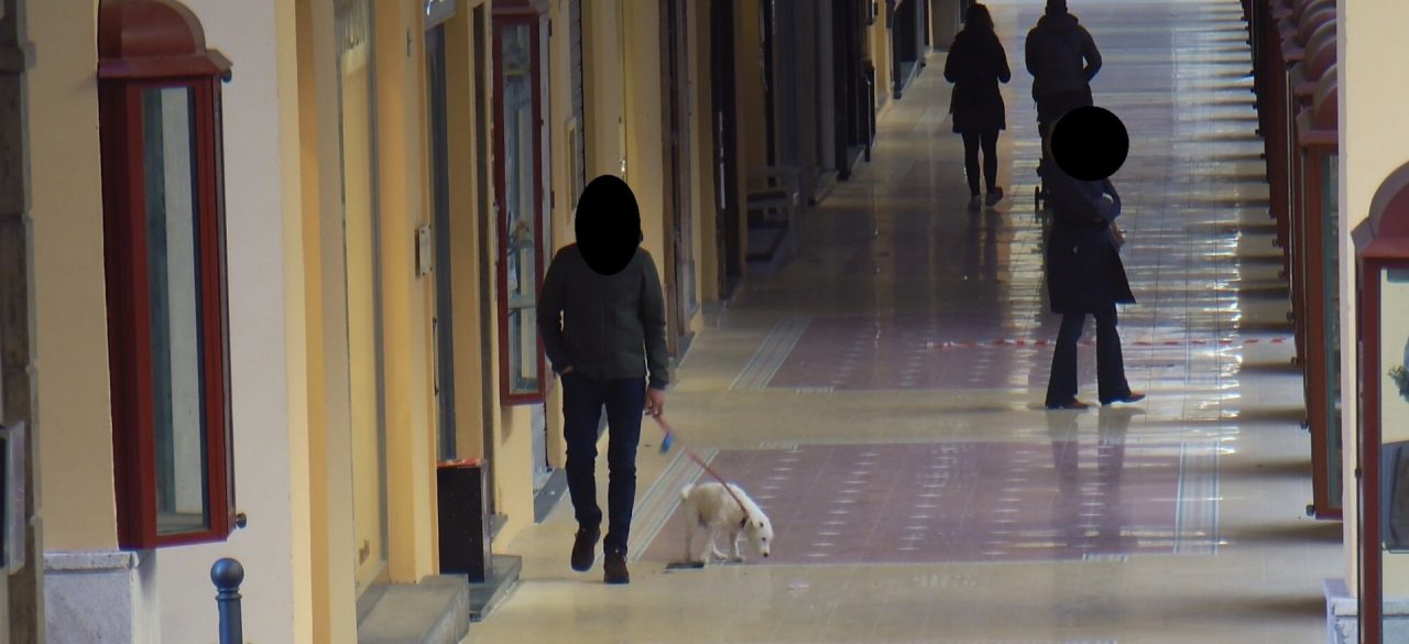 Non raccolgono la pupù del cane. Multa da 300 euro