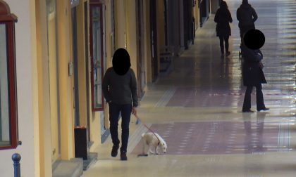 Non raccolgono la pupù del cane. Multa da 300 euro