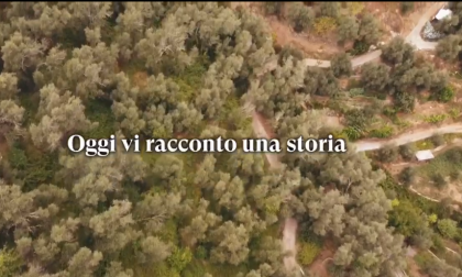 Ad Imperia in autunno le domeniche si passano a "sbattere le olive", lo spot del Comune