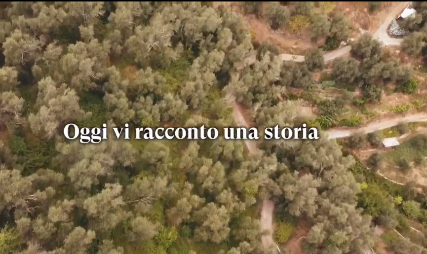 Ad Imperia in autunno le domeniche si passano a “sbattere le olive”, lo spot del Comune