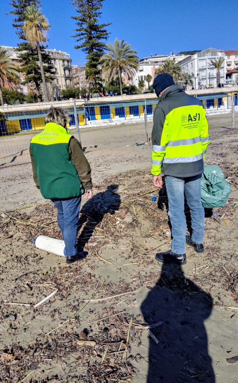 Cane morto trovato in spiaggia