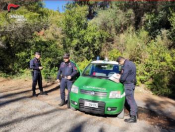 Dai domiciliari al carcere: 18 mesi per il piromane di San Biagio