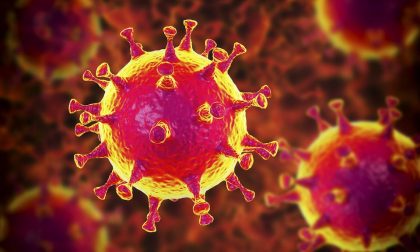 Coronavirus, 16 nuovi positivi in provincia