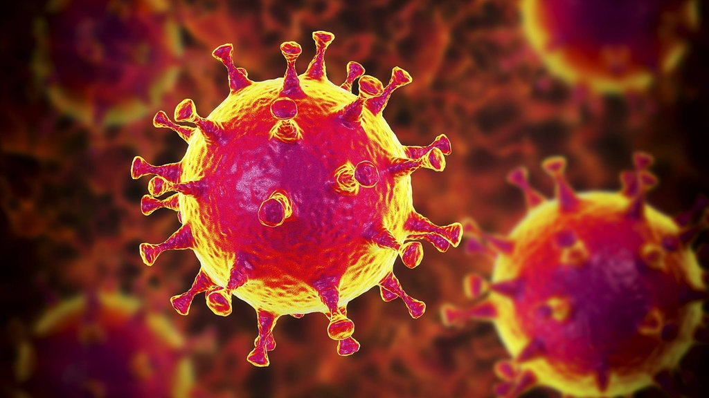 Coronavirus, 111 nuovi casi in provincia, calano i ricoveri