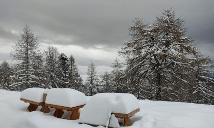Copiosa nevicata nell'entroterra: sceso circa mezzo metro di neve nei rifugi Allavena e Gola