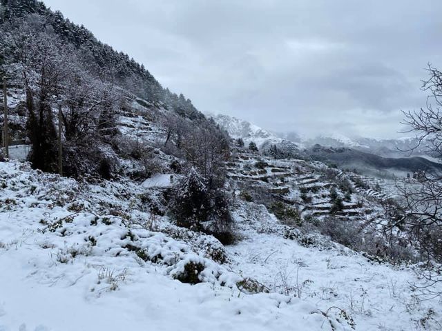 Pioggia e deboli nevicate, il bollettino Arpal