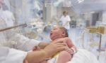 Coppia di genitori rapisce in ospedale figlio neonato