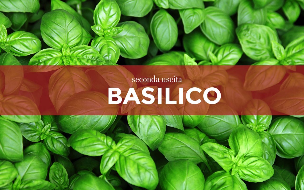 Tutti ortisti: in edicola con La Riviera i semi di basilico