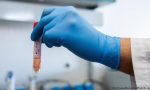 Coronavirus, 324 nuovi casi in 24 ore, un morto a Sanremo