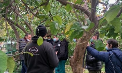 Studenti al lavoro per la riqualifica del giardino della fondazione Ernesto Chiappori