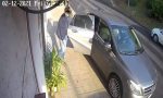 Ladro di piante in Mercedes incastrato dalla telecamera dell'ex sindaco-avvocato