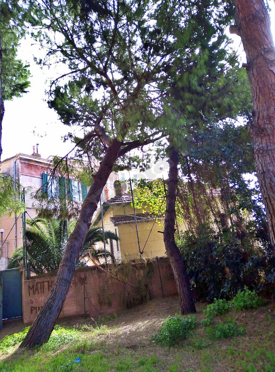 Crolla un albero nei giardini di Villa Palmizi a Bordighera