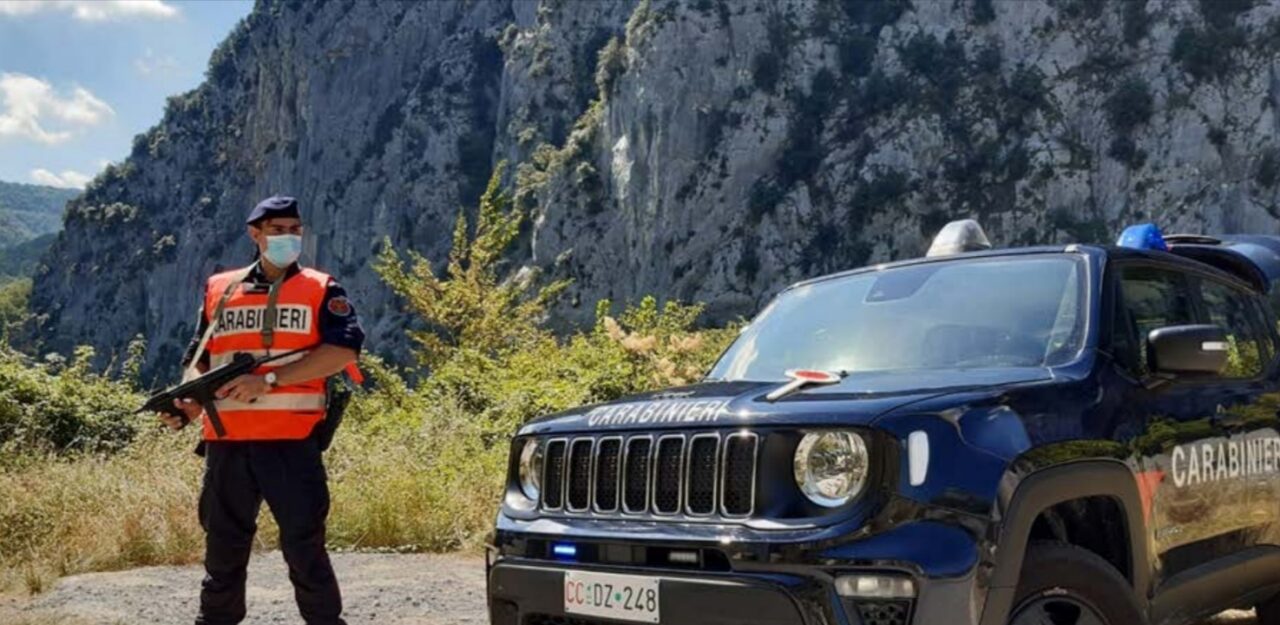 Controlli dei Carabinieri nelle coltovazioni di cannabis “light”