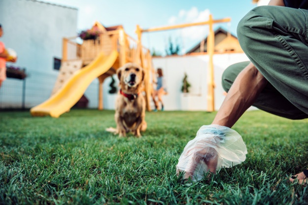 Deiezioni canine ecco dove sono vietate