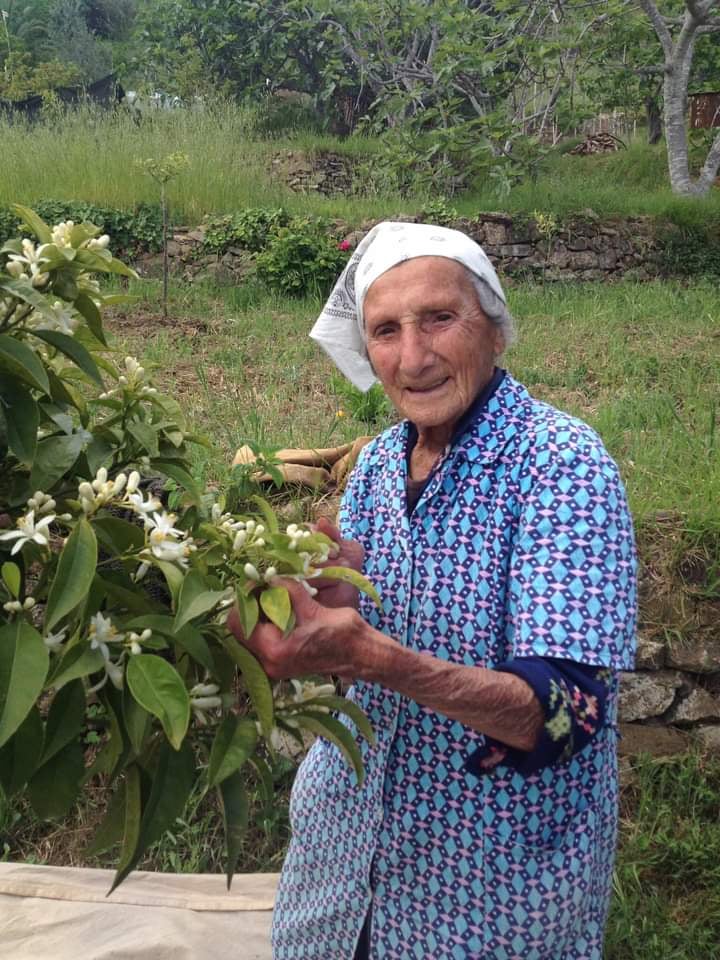 Addio a Ines Guglielmi capostipite dell’Acqua di fiori di arancio amaro