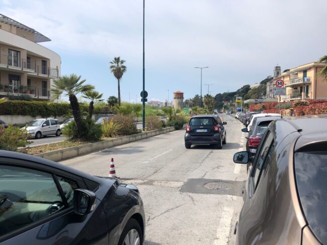 Bosco urbano sul lungomare Vespucci, il Comitato per la Viabilità attende il nuovo progetto