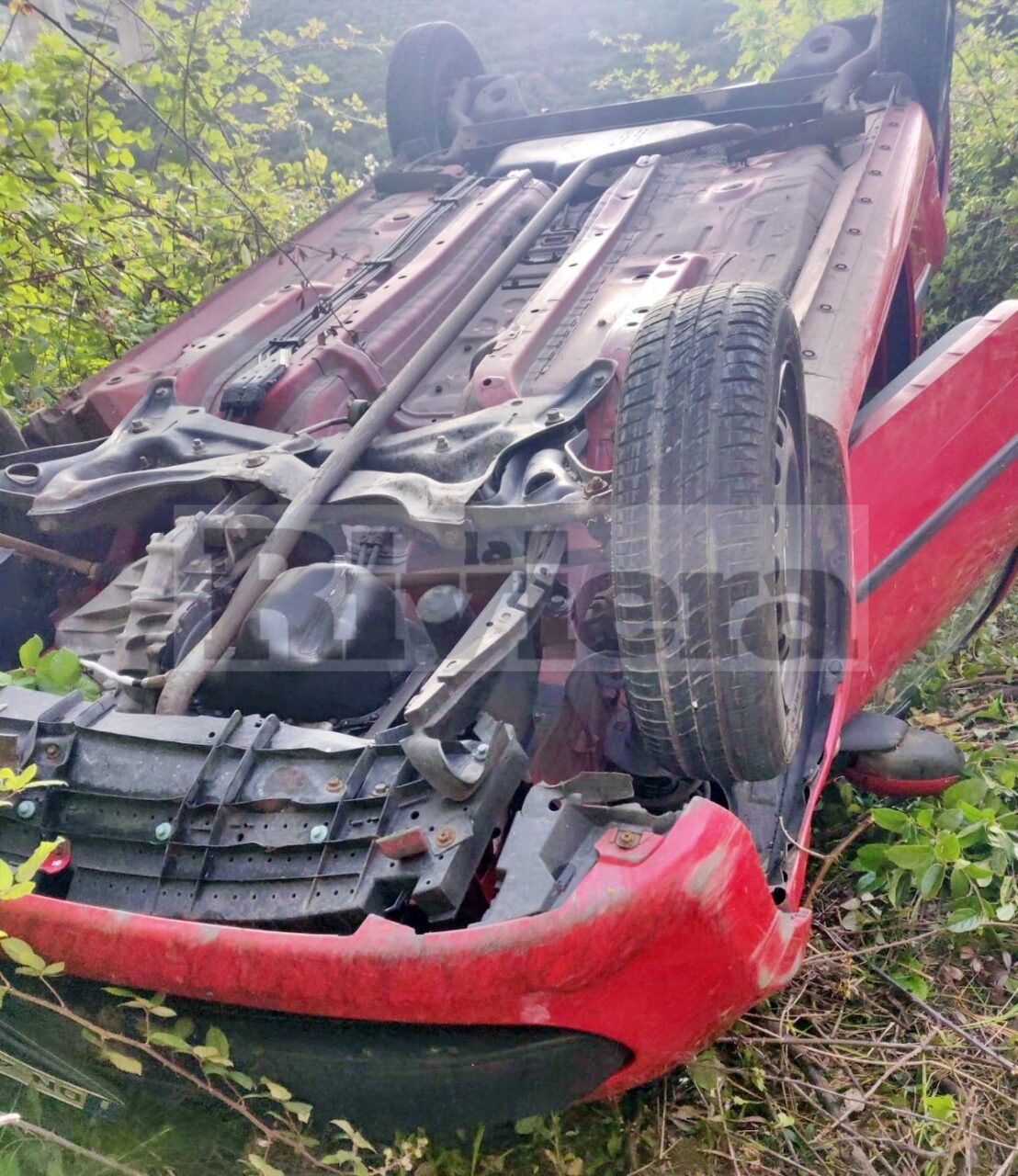 Cinghiale gli taglia la strada, giovane si cappotta con l’auto