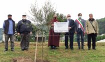 Le tre religioni monoteiste a Camporosso piantano un olivo per la pace