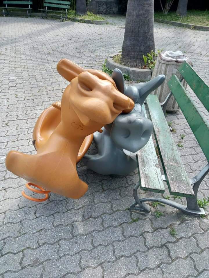 Telecamere incastrano i vandali ai giardini pubblici