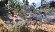 Incendio vicino alle case ad Artallo di Imperia, chiusa l'Autofiori per fumo