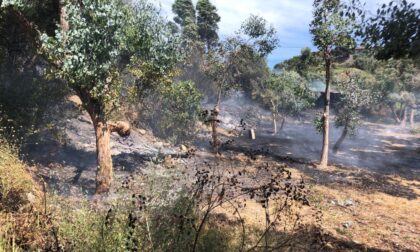 Incendio vicino alle case ad Artallo di Imperia, chiusa l'Autofiori per fumo