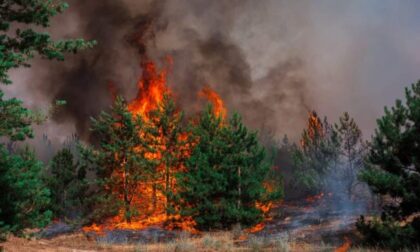 Incendi boschivi: scatta lo stato di grave pericolosità