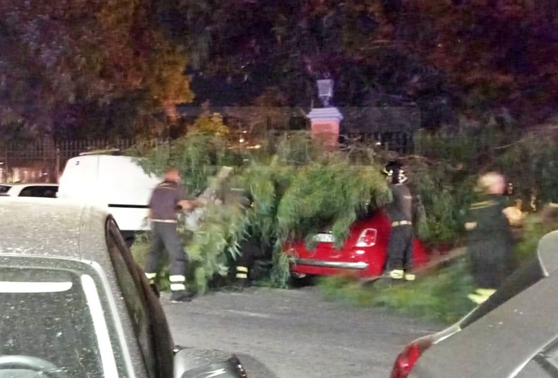 Grosso ramo crolla su un’auto ai giardini pubblici, paura a Ventimiglia