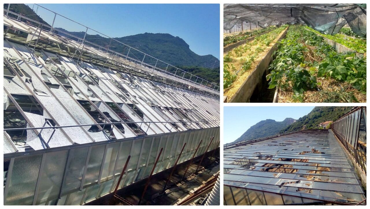 Decine di aziende agricole e floricole devastate dalla grandine a Ventimiglia