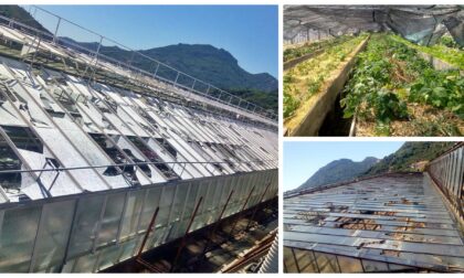 Decine di aziende agricole e floricole devastate dalla grandine a Ventimiglia