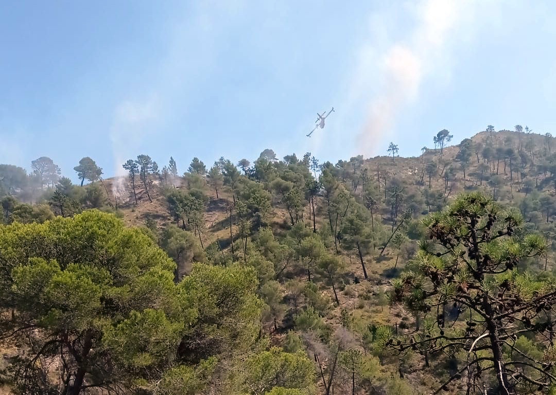 Incendio boschivo Olivetta Airole aogsto 2021