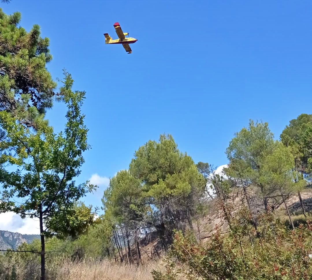 Incendio boschivo Olivetta Airole aogsto 2021_02