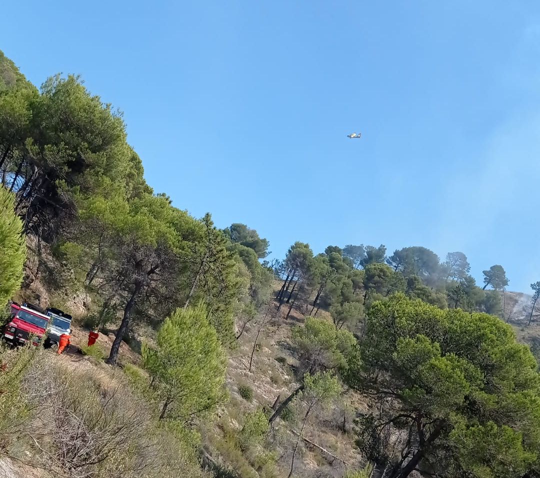 Incendio boschivo Olivetta Airole aogsto 2021_03