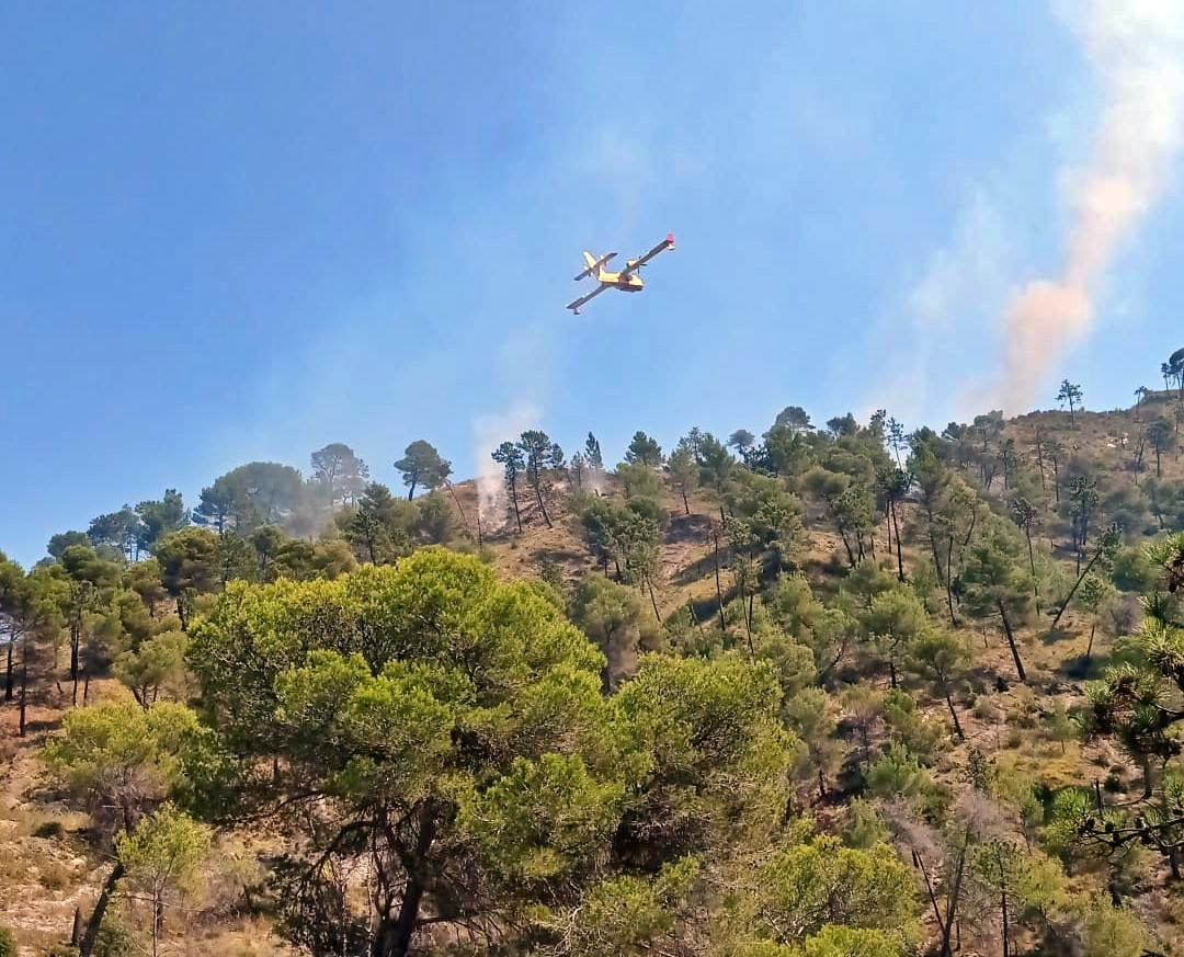 Incendio boschivo Olivetta Airole aogsto 2021_04