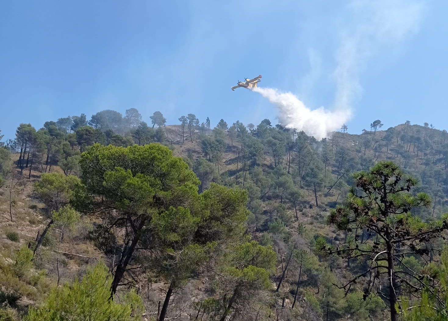 Incendio boschivo Olivetta Airole aogsto 2021_06