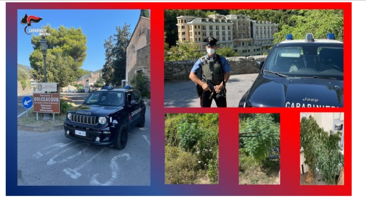 Coltivazione di marijuana sequestrata nei guai due uomini