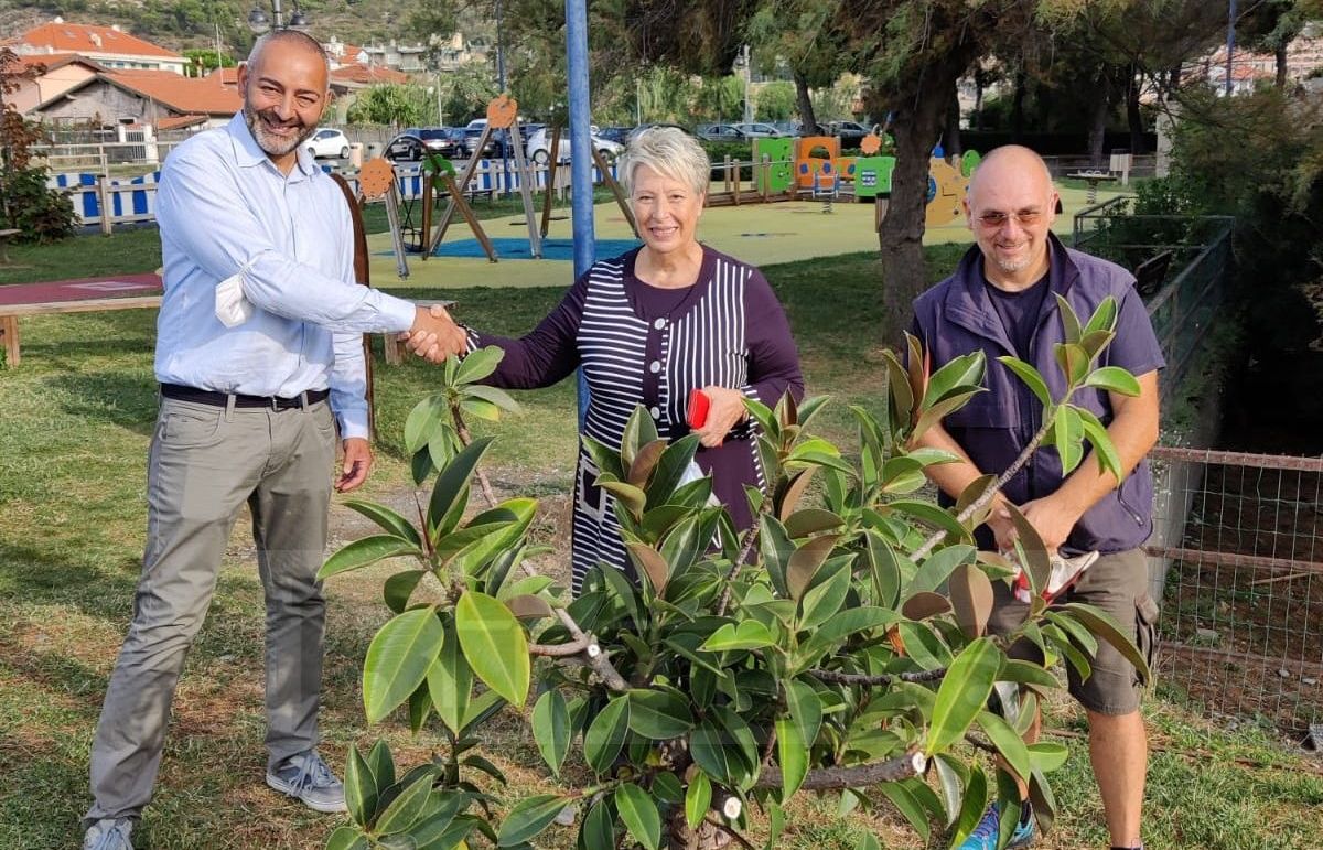 Ficus parco giochi Corsaro Nero Ventimiglia_03
