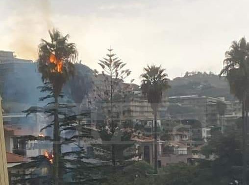 Maltempo settembre 2021 palma incendiata Riva Ligure