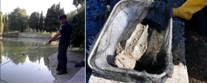 Concluse le operazioni di recupero del laghetto invaso dalla salmonella