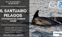 Visita gratuita sulla barca del Santuario dei Cetacei