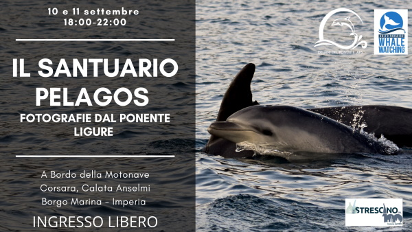 Visita Gratuita Sulla Barca Del Santuario Dei Cetacei Prima La Riviera